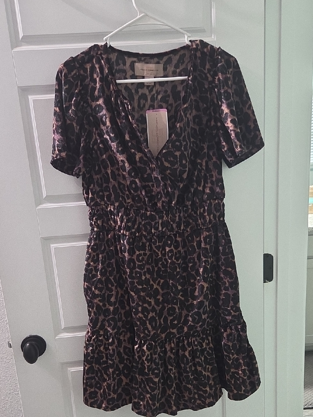 Leopard Print Velvet Dress